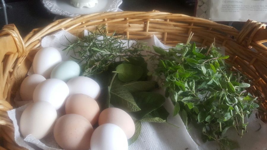 OPPOSITION AND THE OVER&nbsp;COMER….