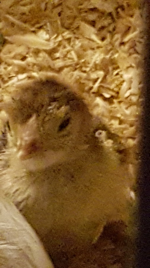 A time for&nbsp;everything