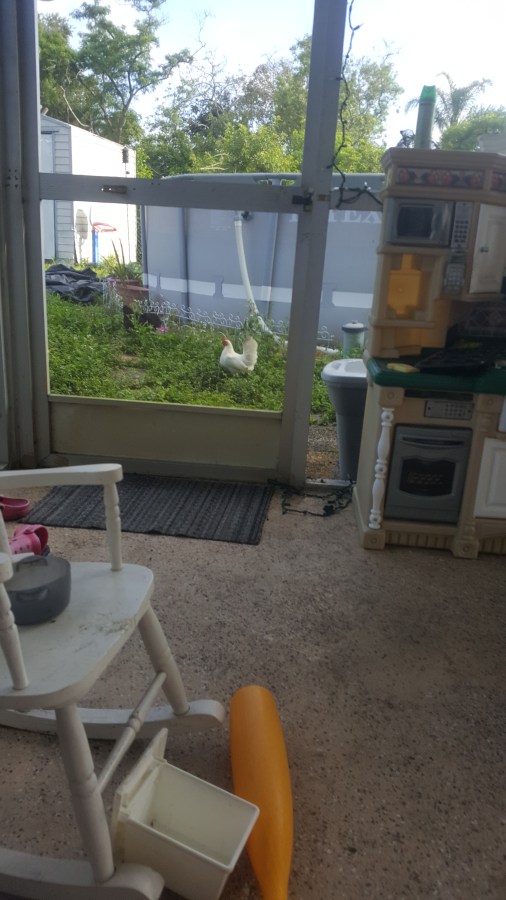 Real Life is&nbsp;Messy.